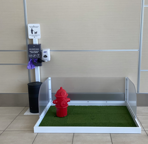 photo de l’aire de soulagement pour animaux de compagnie dans le salon des départs pour les É.-U.